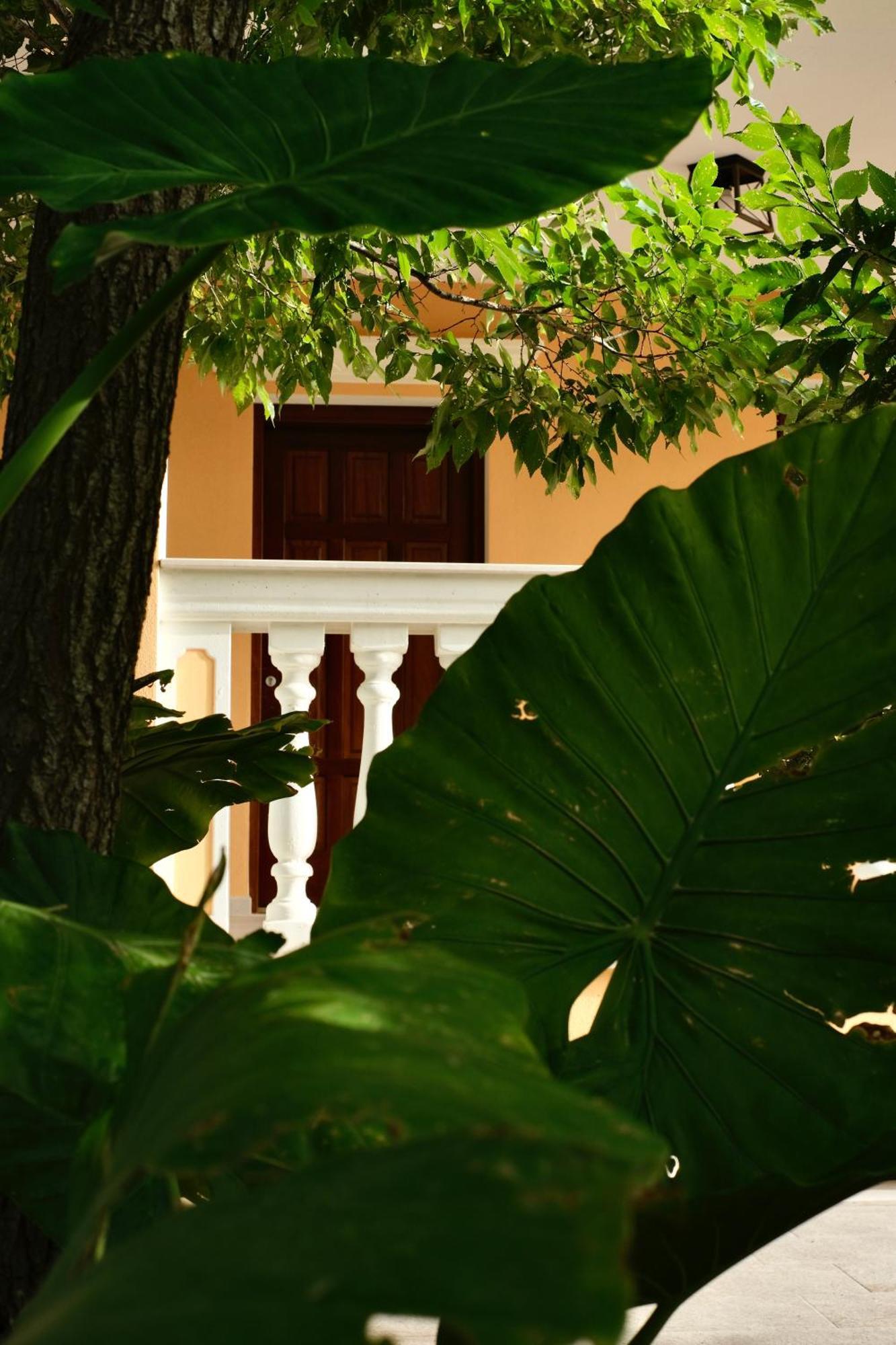 Villa Domus Aurea Alghero Esterno foto